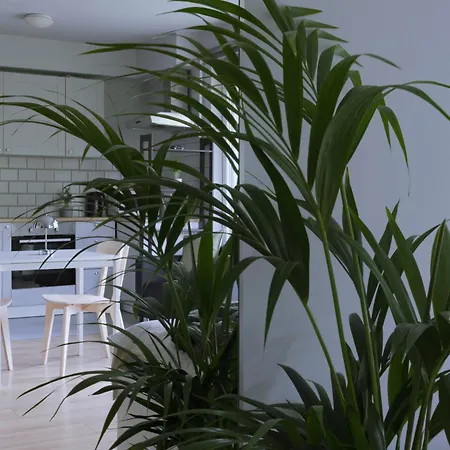 Krowodrza Apartment's *