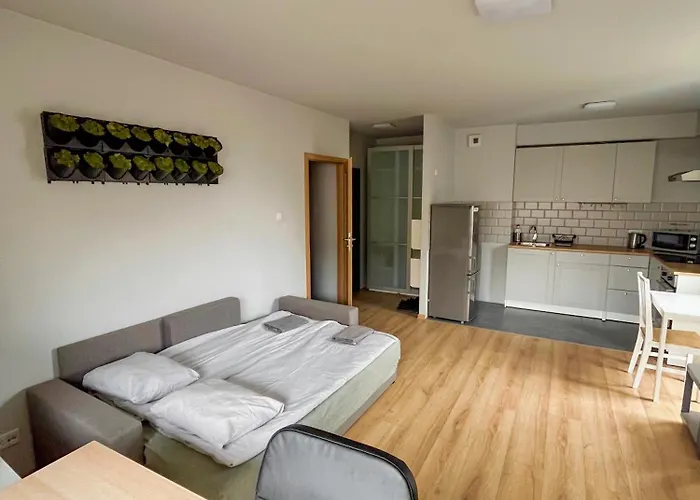 Krowodrza Apartment's Appartement *