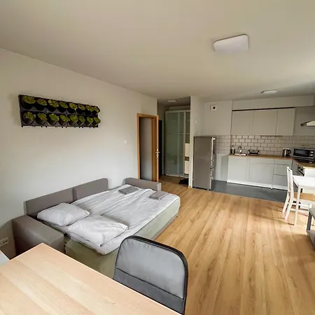Krowodrza Apartment's Apartmán *